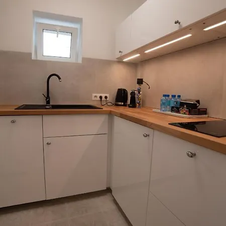 Apartment Studio Zelazna