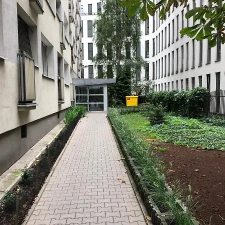 Studio Zelazna *